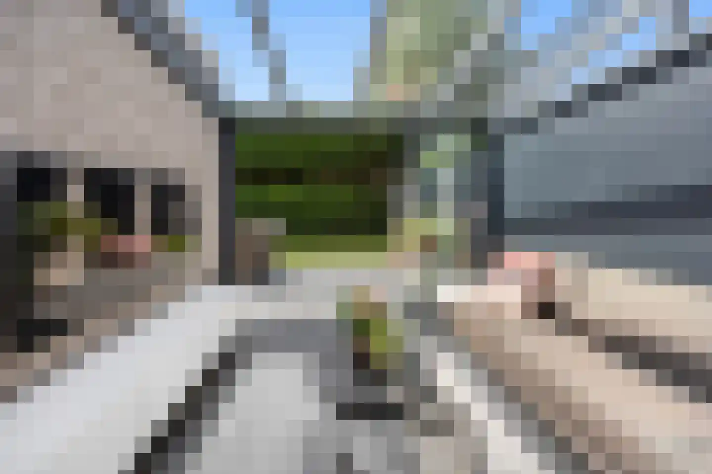Langakkers 18 Druten thumbnail 47