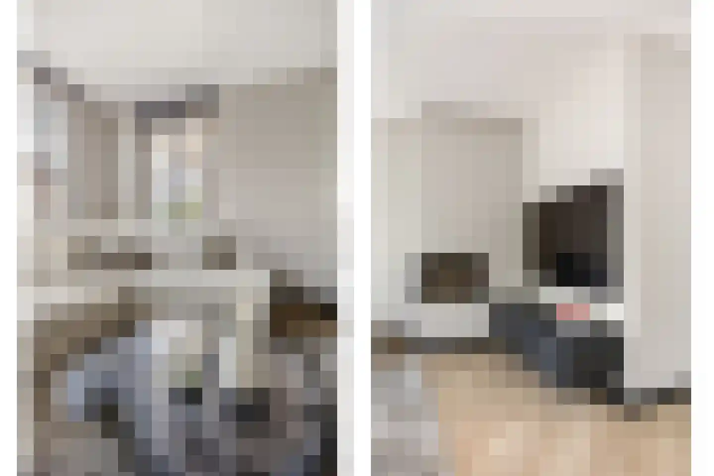 Langakkers 18 Druten thumbnail 7