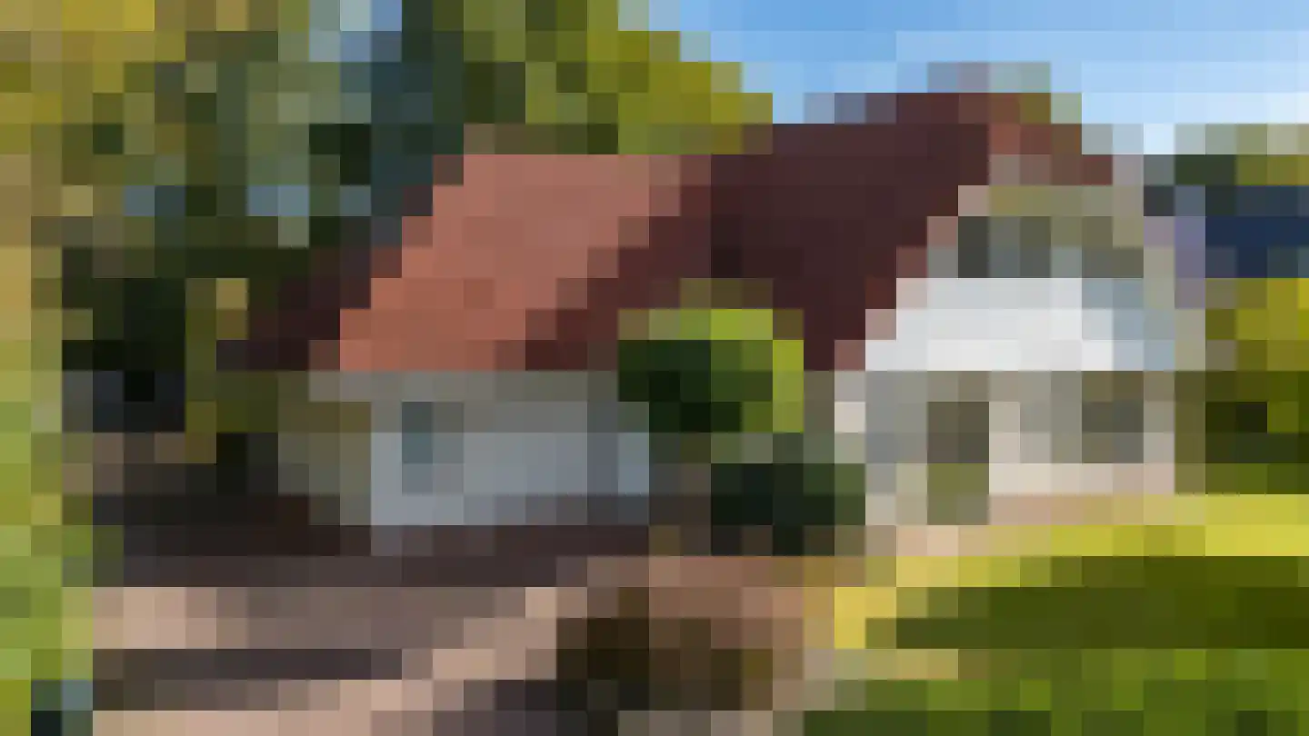 Langakkers 22 in Schipborg