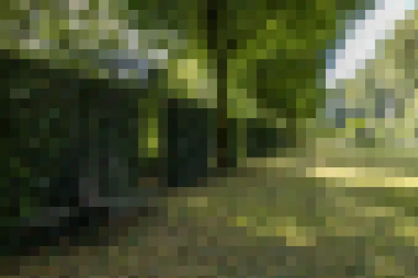Langakkers 22 Schipborg thumbnail 11