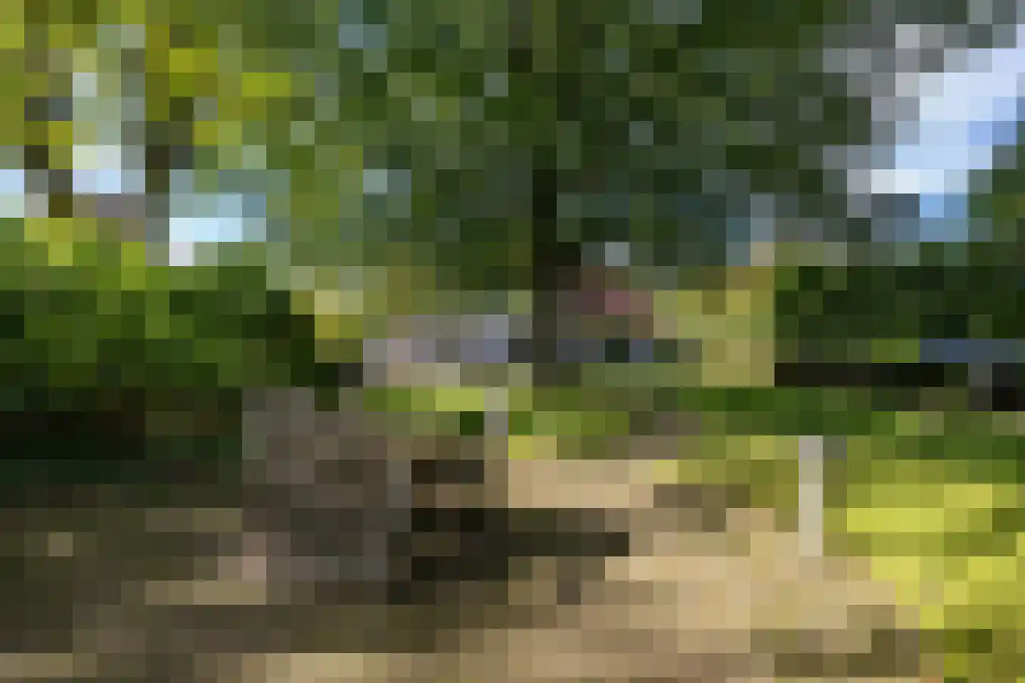 Langakkers 22 Schipborg thumbnail 12