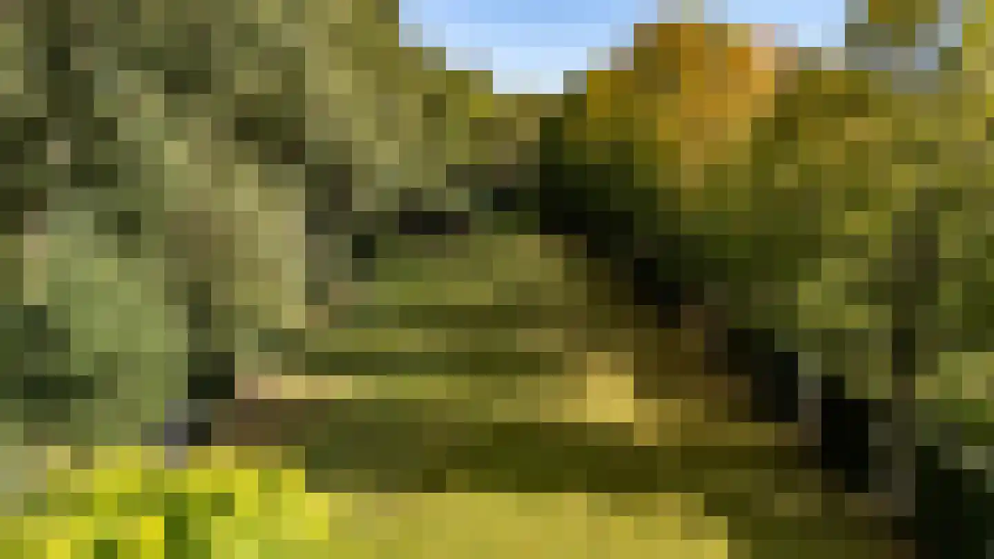 Langakkers 22 Schipborg thumbnail 13