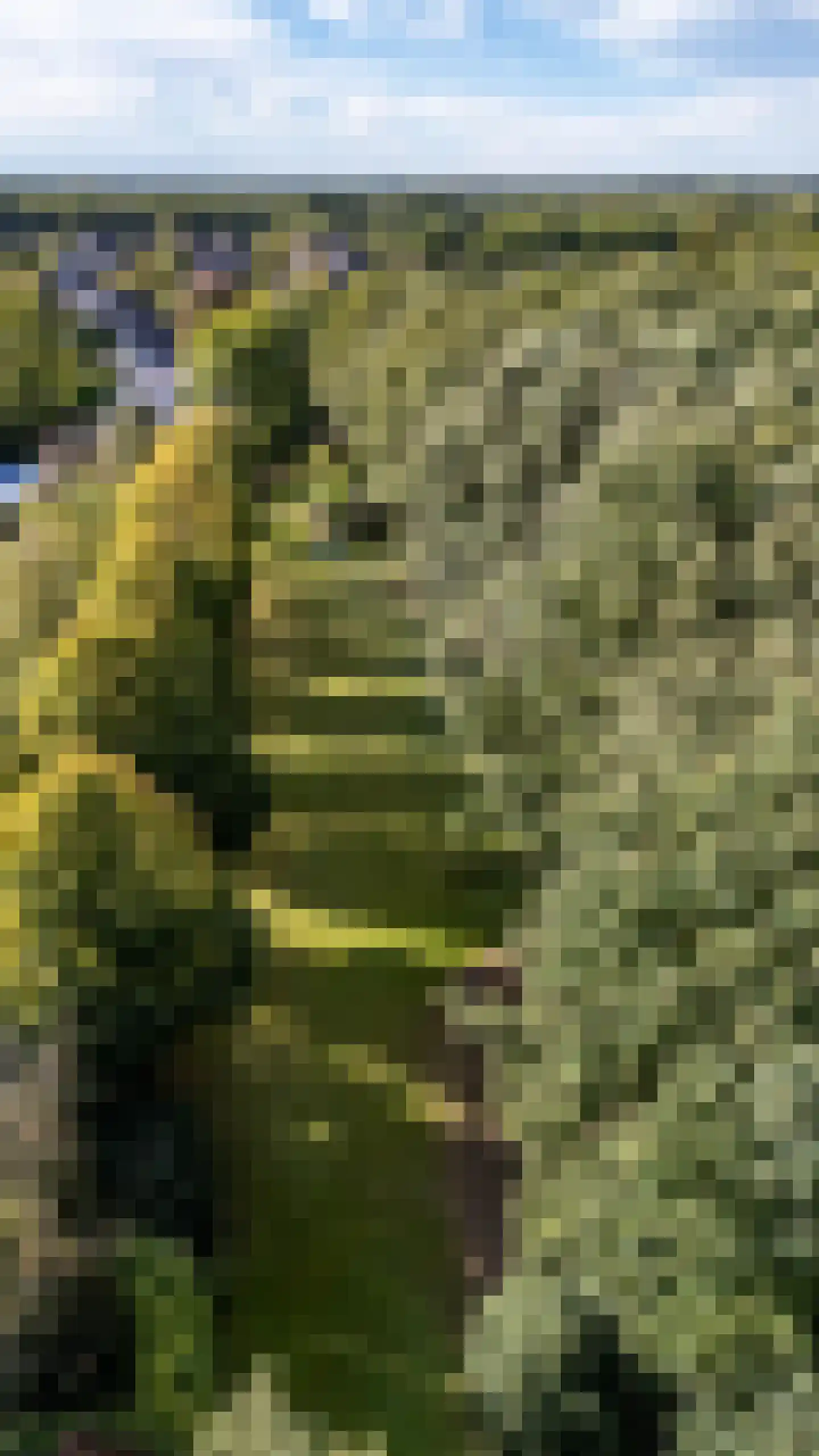 Langakkers 22 Schipborg thumbnail 14