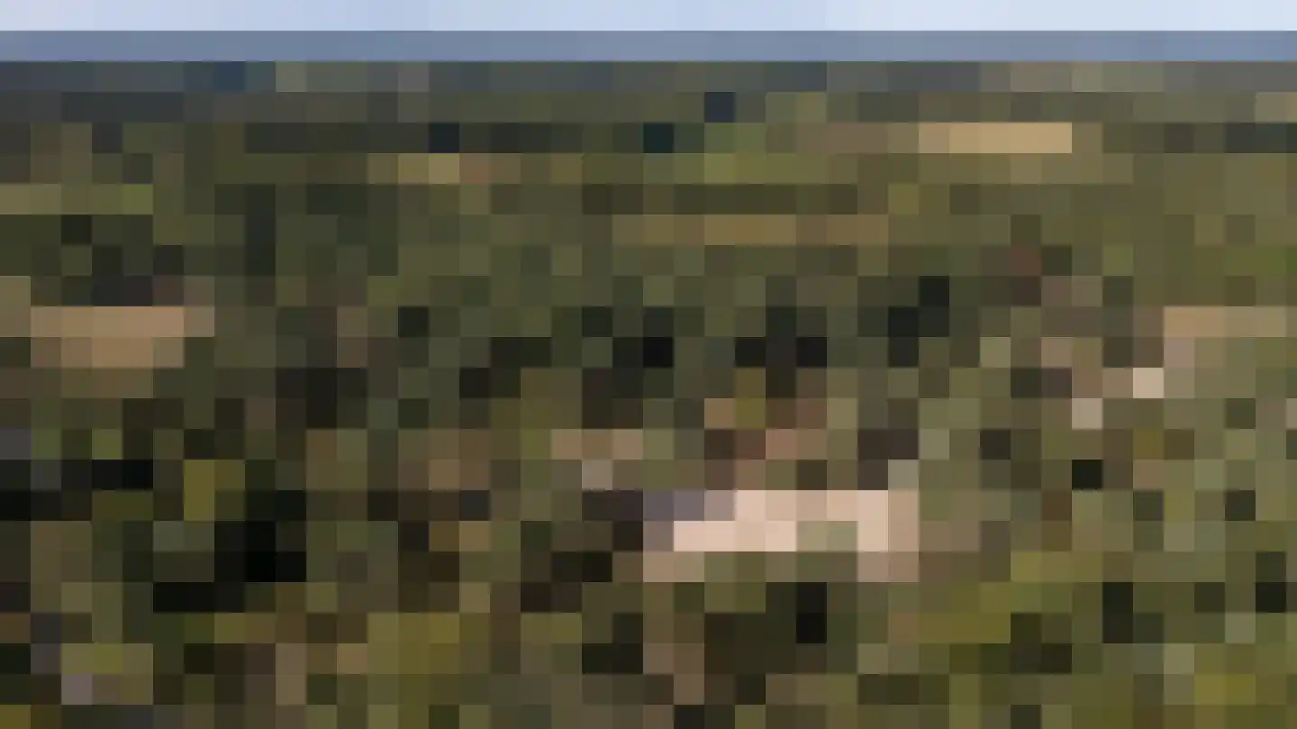 Langakkers 22 Schipborg thumbnail 15