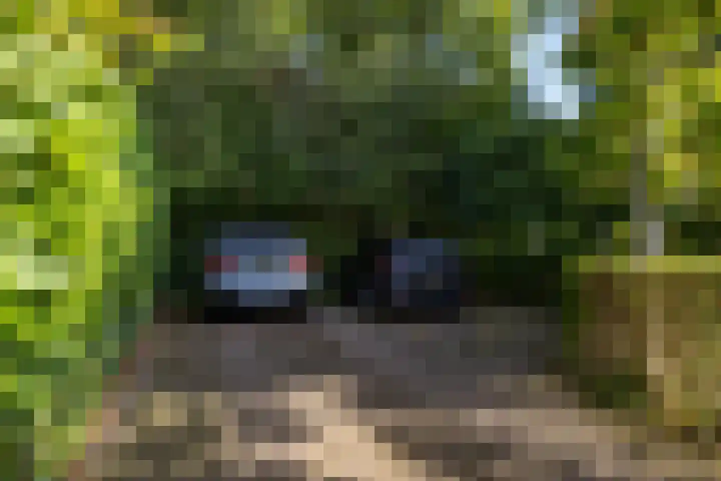 Langakkers 22 Schipborg thumbnail 17