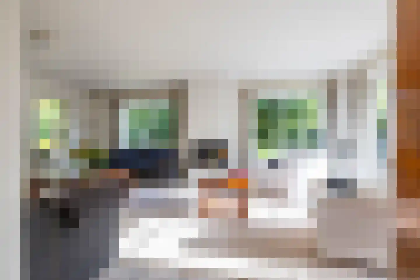 Langakkers 22 Schipborg thumbnail 19