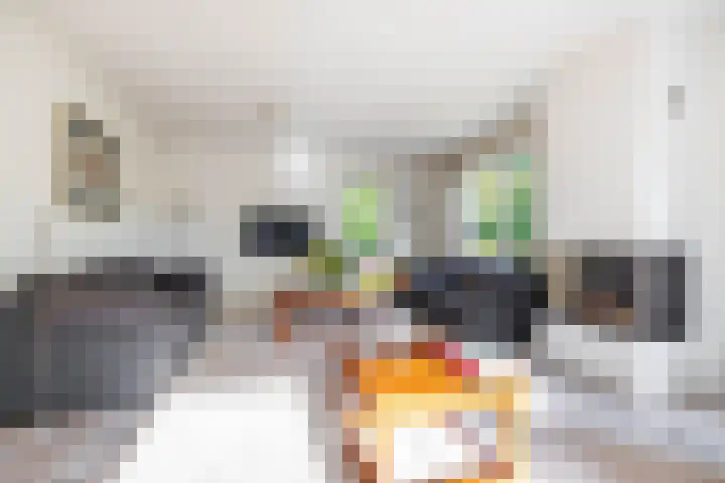 Langakkers 22 Schipborg thumbnail 21