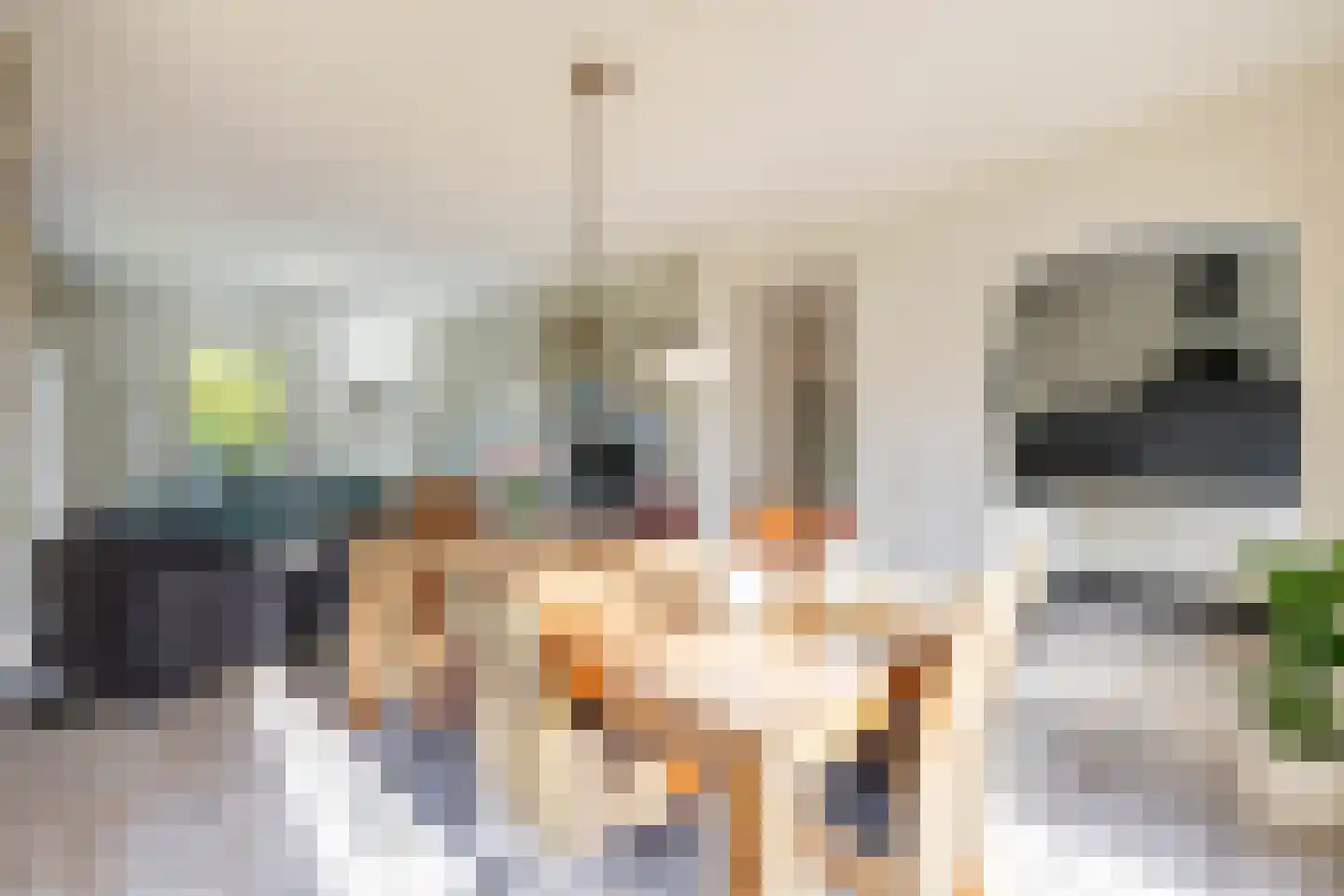 Langakkers 22 Schipborg thumbnail 27