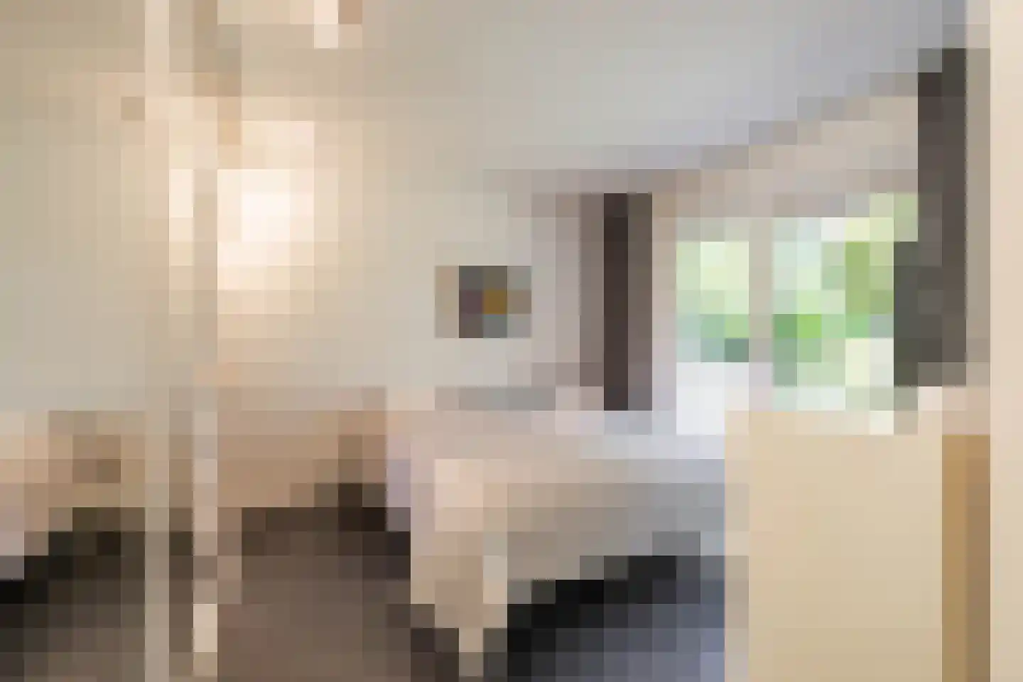 Langakkers 22 Schipborg thumbnail 32