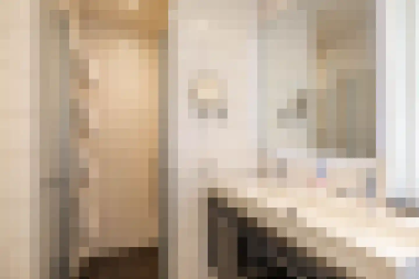 Langakkers 22 Schipborg thumbnail 36