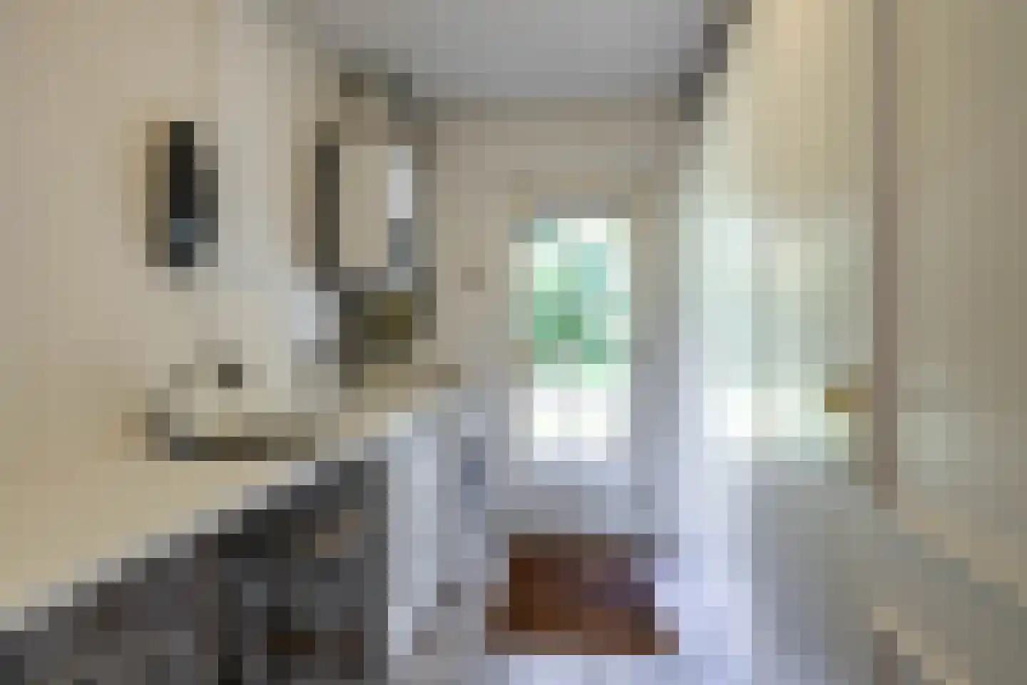 Langakkers 22 Schipborg thumbnail 38