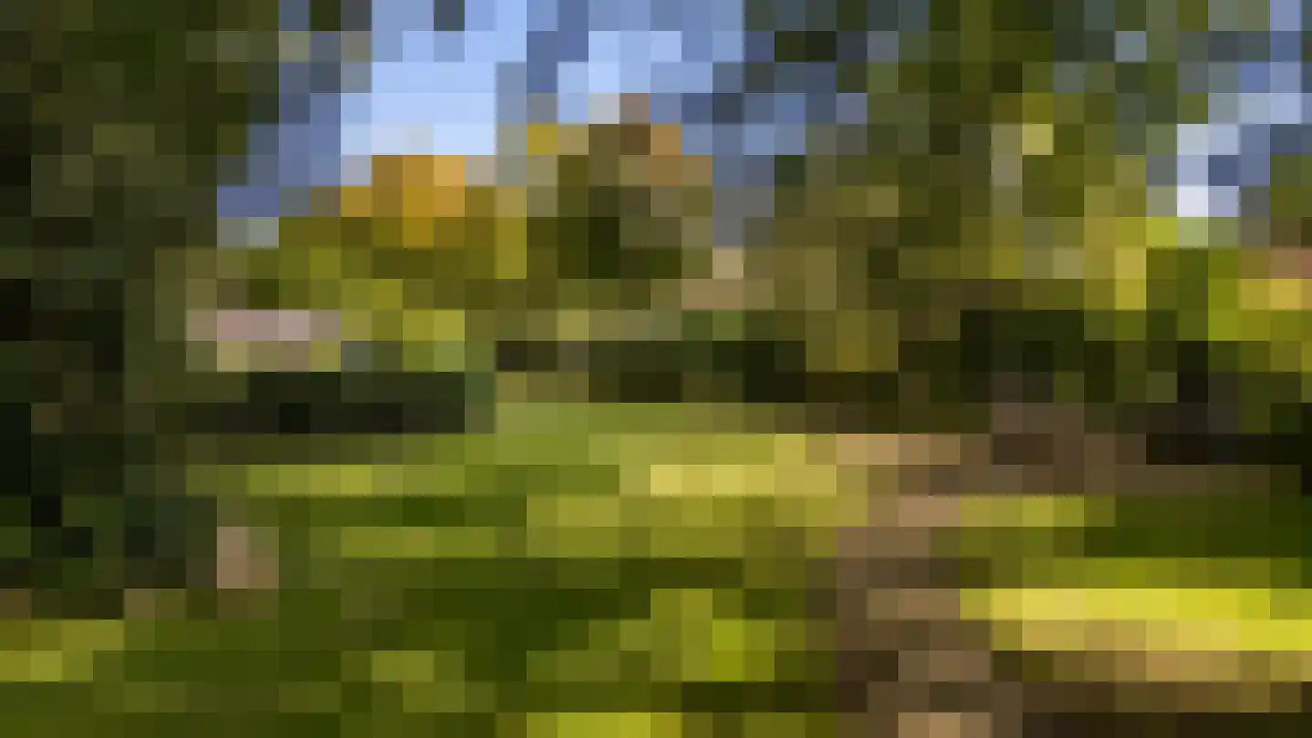 Langakkers 22 Schipborg thumbnail 4