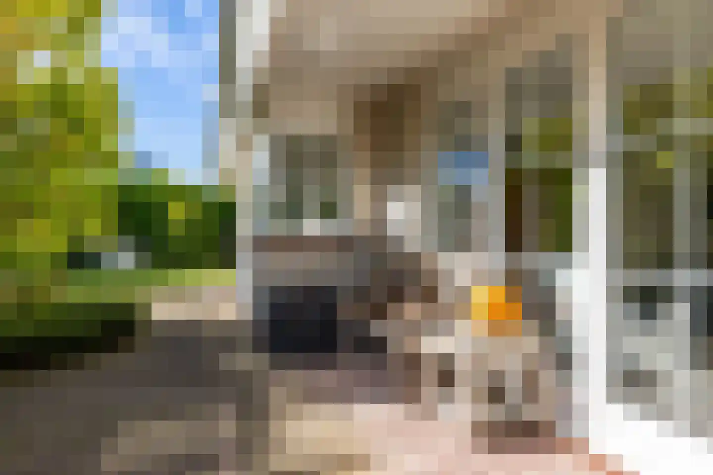 Langakkers 22 Schipborg thumbnail 6