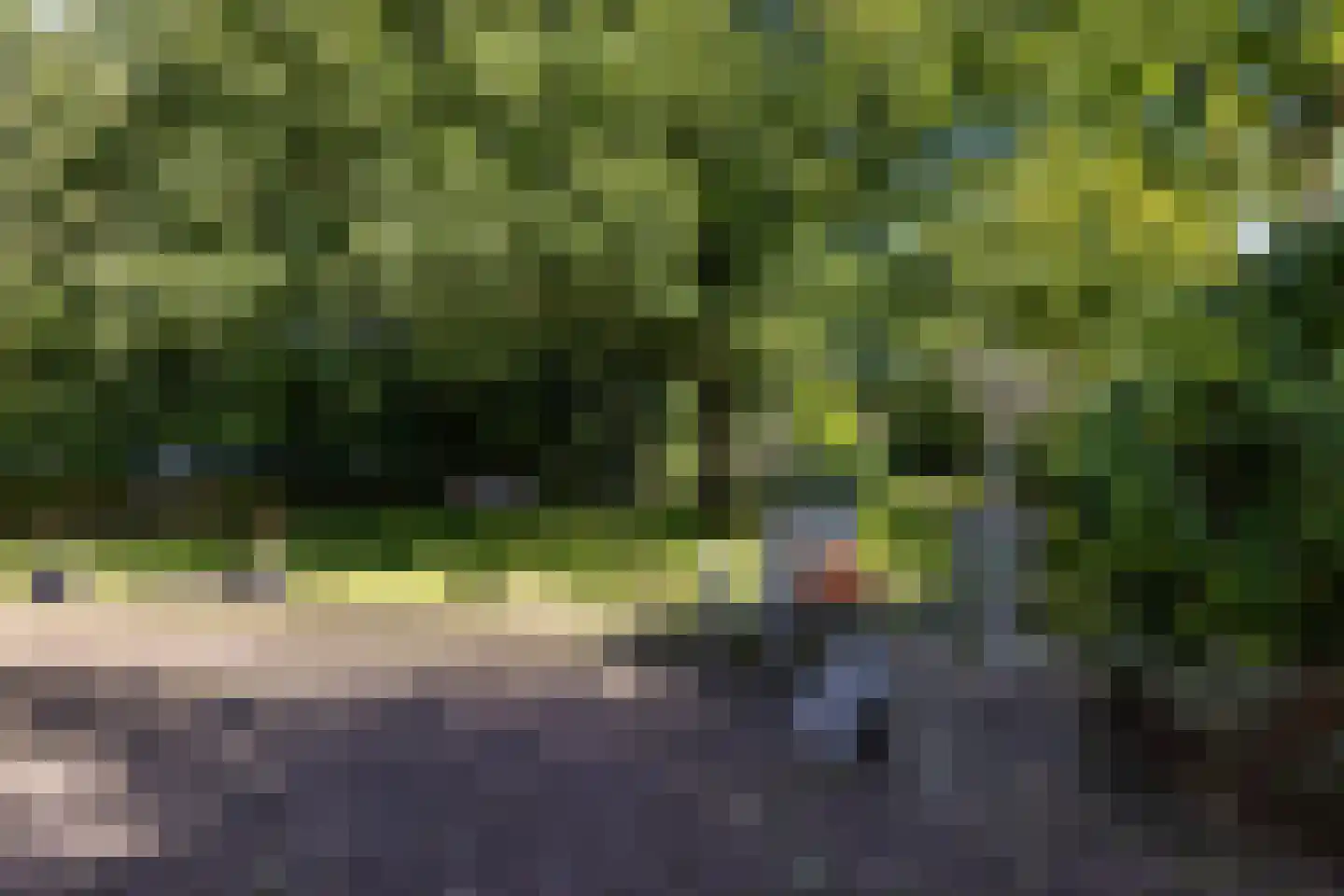 Langakkers 22 Schipborg thumbnail 7