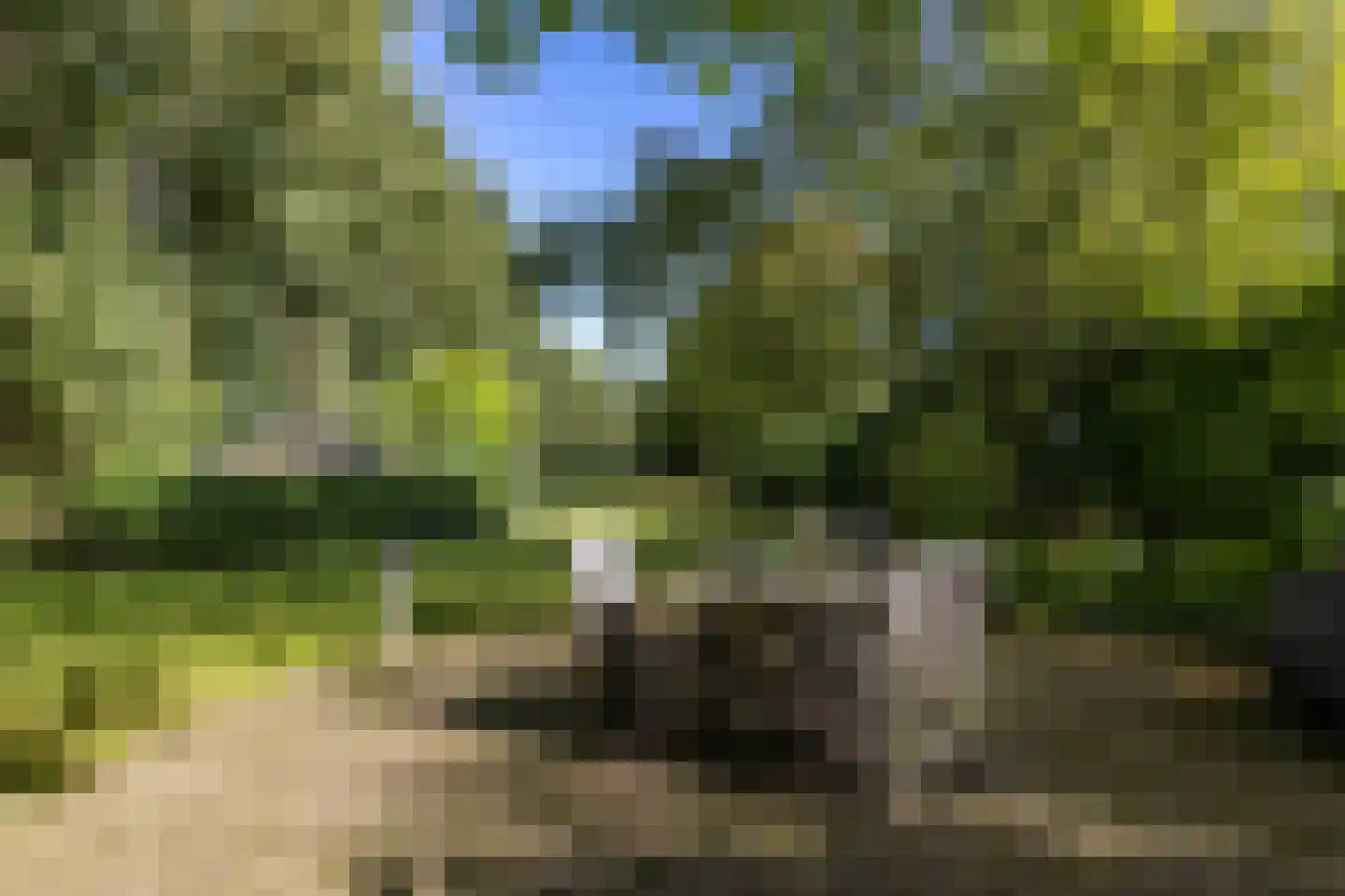Langakkers 22 Schipborg thumbnail 8