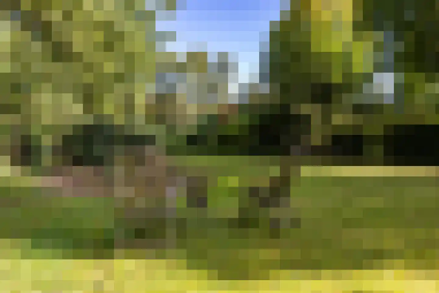 Langakkers 22 Schipborg thumbnail 9