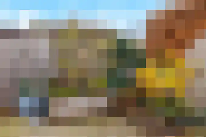 Langakkers 35 Druten thumbnail 30