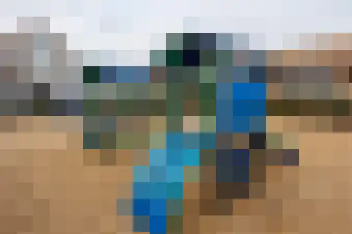 Langakkers 35 Druten thumbnail 34