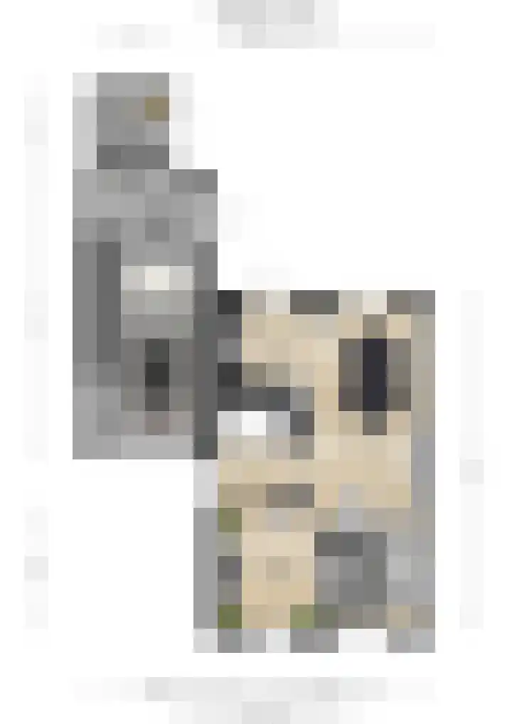 Langakkers 35 Druten thumbnail 36