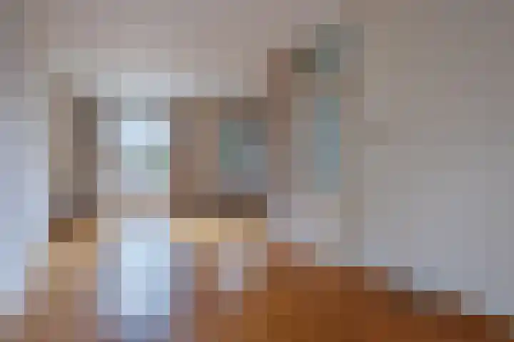 Langakkers 35 Druten thumbnail 5