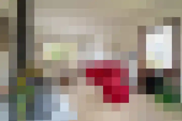 Langakkers 7 Schipborg thumbnail 18