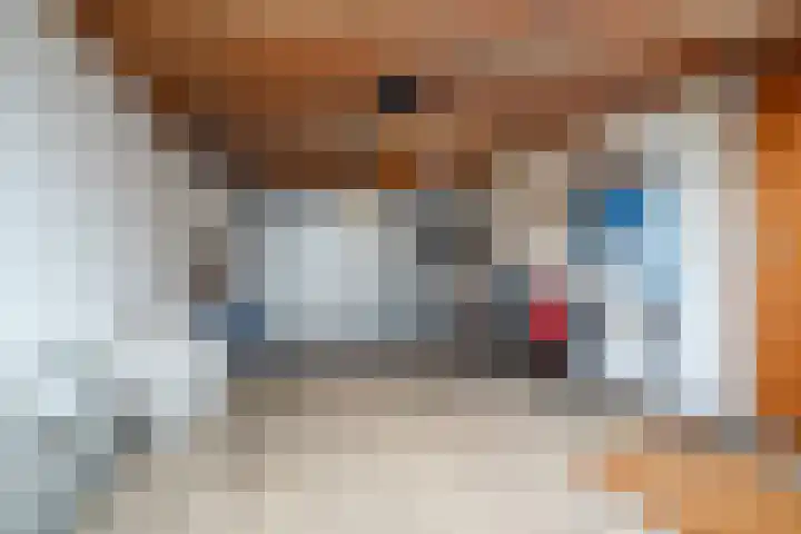 Langakkers 7 Schipborg thumbnail 36