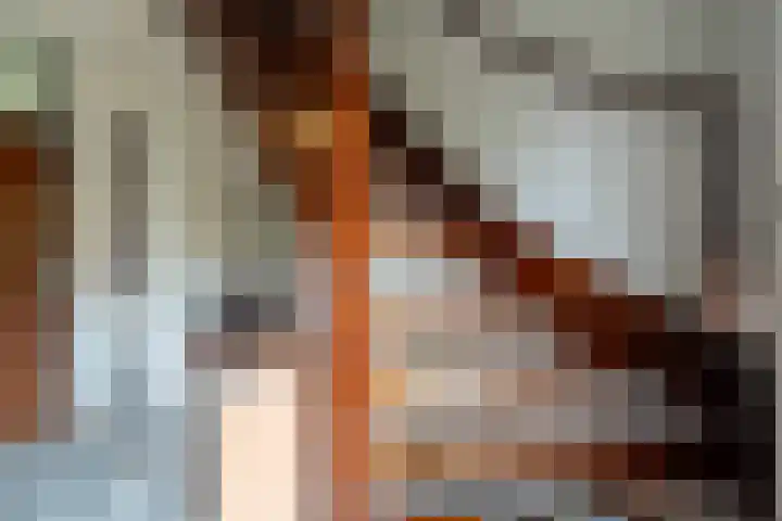 Langakkers 7 Schipborg thumbnail 38