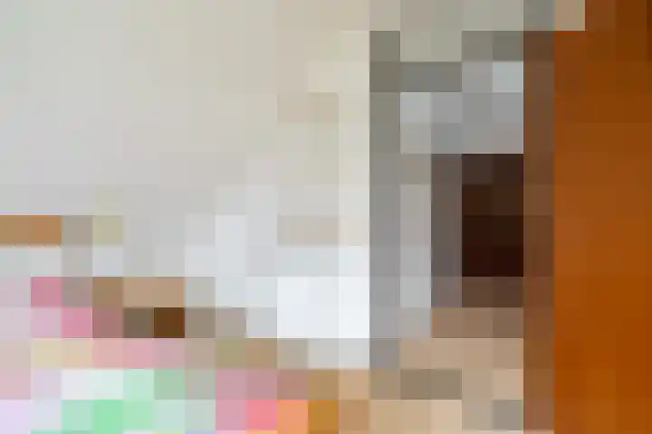 Langakkers 7 Schipborg thumbnail 42