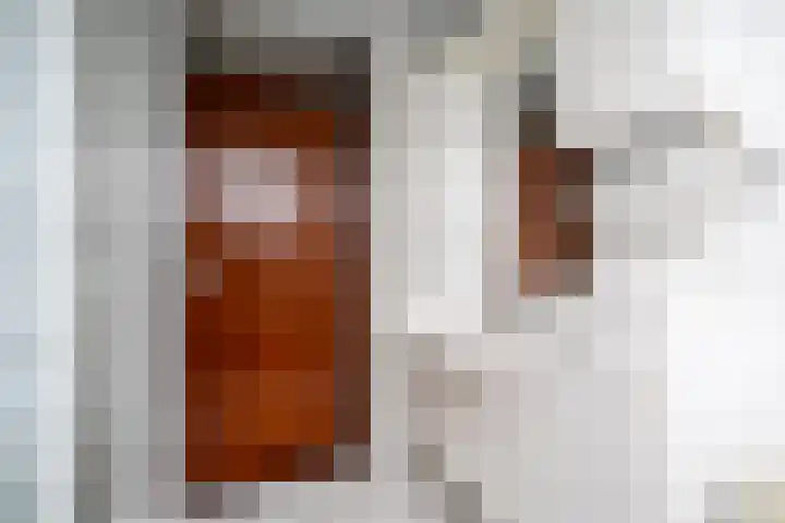 Langakkers 7 Schipborg thumbnail 48