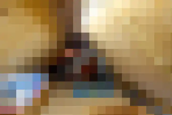 Langakkers 7 Schipborg thumbnail 54