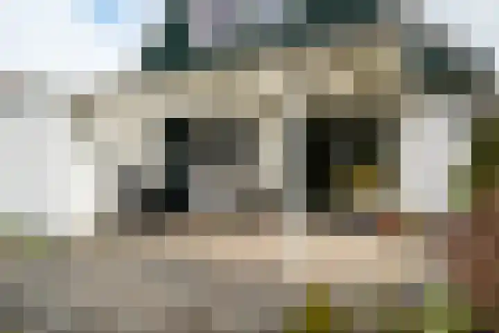 Langakkers 7 Schipborg thumbnail 56
