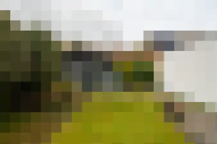Langakkers 7 Schipborg thumbnail 57