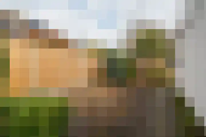 Langakkers 7 Schipborg thumbnail 59