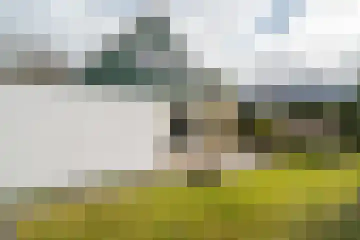 Langakkers 7 Schipborg thumbnail 60