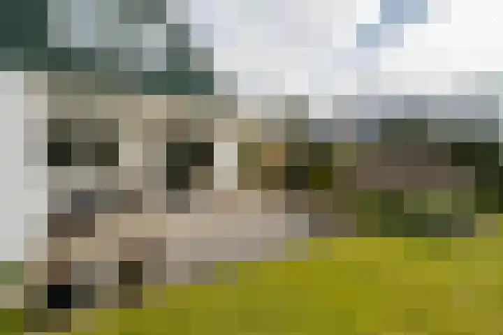 Langakkers 7 Schipborg thumbnail 61