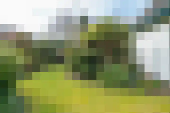 Langakkers 7 Schipborg thumbnail 62