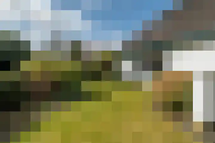 Langakkers 7 Schipborg thumbnail 63