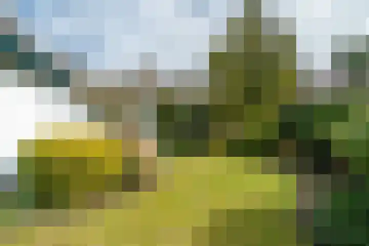 Langakkers 7 Schipborg thumbnail 64