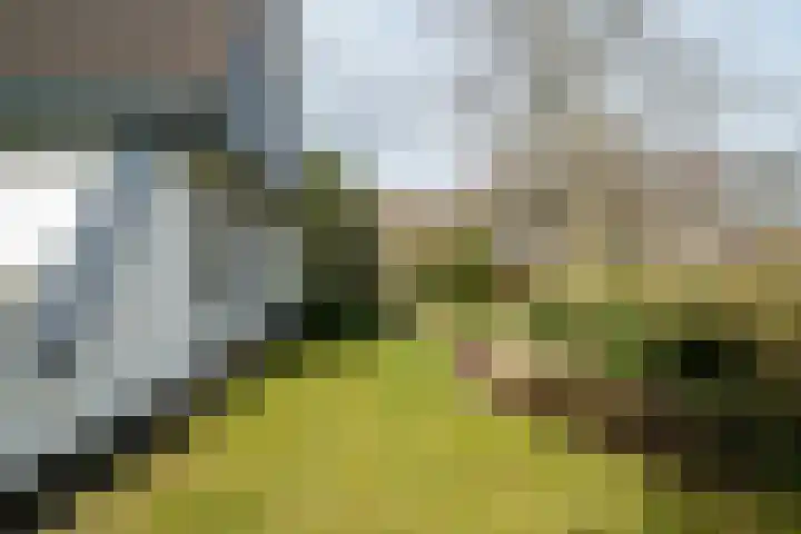 Langakkers 7 Schipborg thumbnail 65