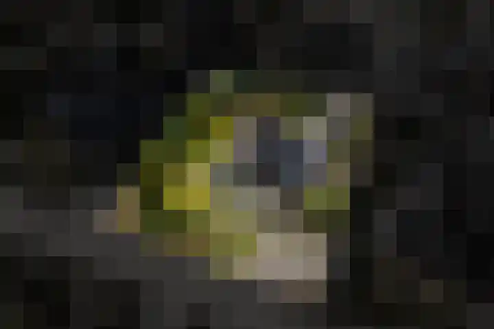 Langakkers 7 Schipborg thumbnail 67