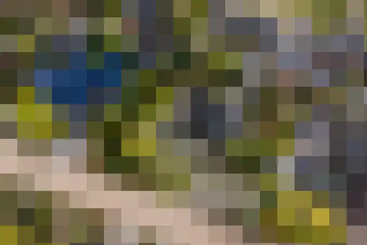 Langakkers 7 Schipborg thumbnail 68