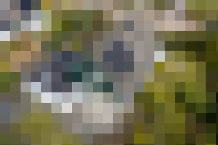 Langakkers 7 Schipborg thumbnail 69