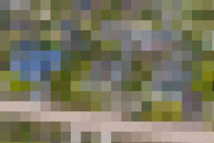 Langakkers 7 Schipborg thumbnail 71