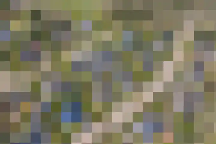 Langakkers 7 Schipborg thumbnail 72
