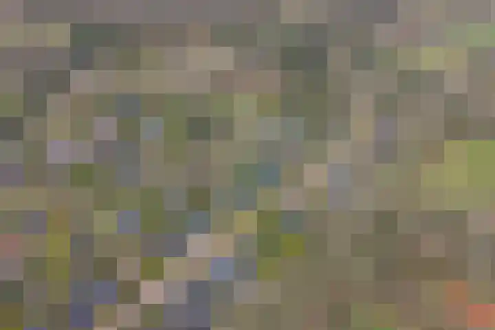 Langakkers 7 Schipborg thumbnail 73