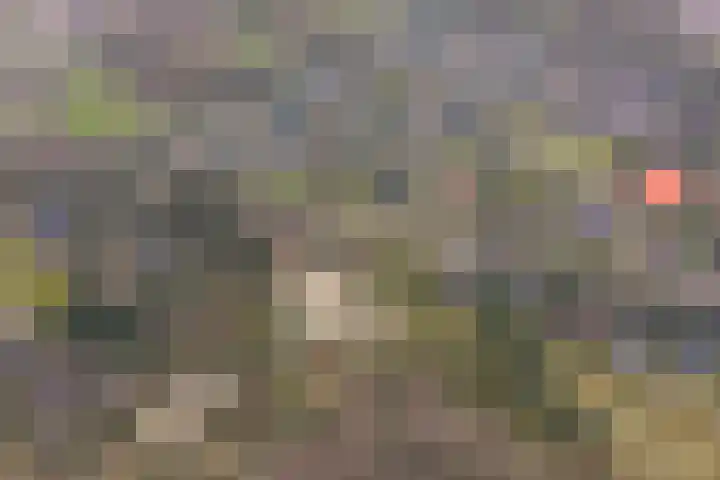 Langakkers 7 Schipborg thumbnail 74