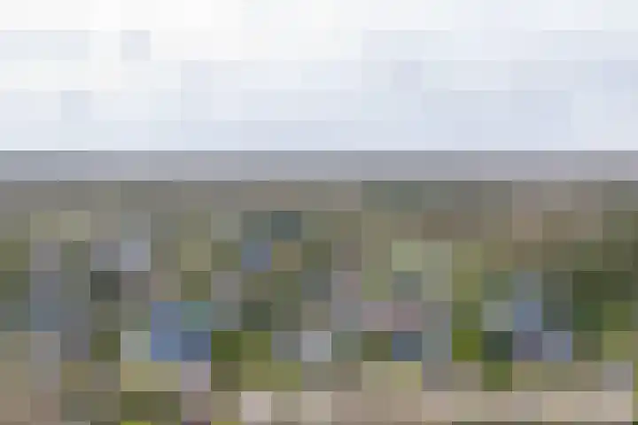 Langakkers 7 Schipborg thumbnail 75