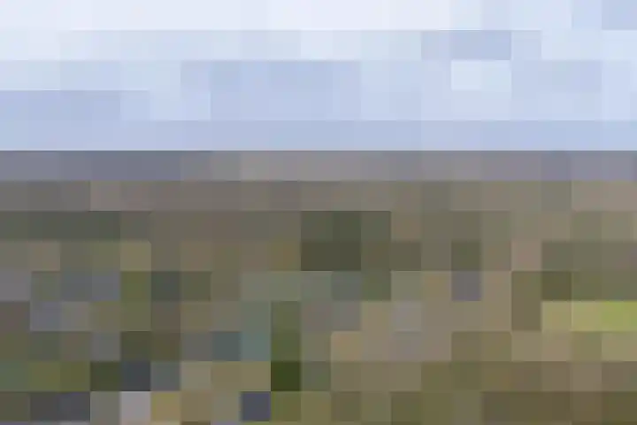 Langakkers 7 Schipborg thumbnail 76