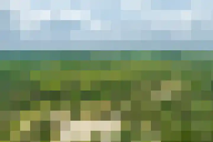 Langakkers 7 Schipborg thumbnail 77