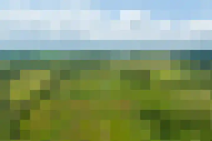 Langakkers 7 Schipborg thumbnail 79